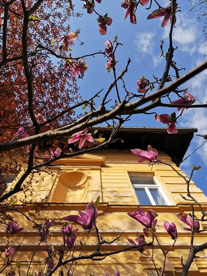 Vv Art, Unique Vila In Ljubljana City Center